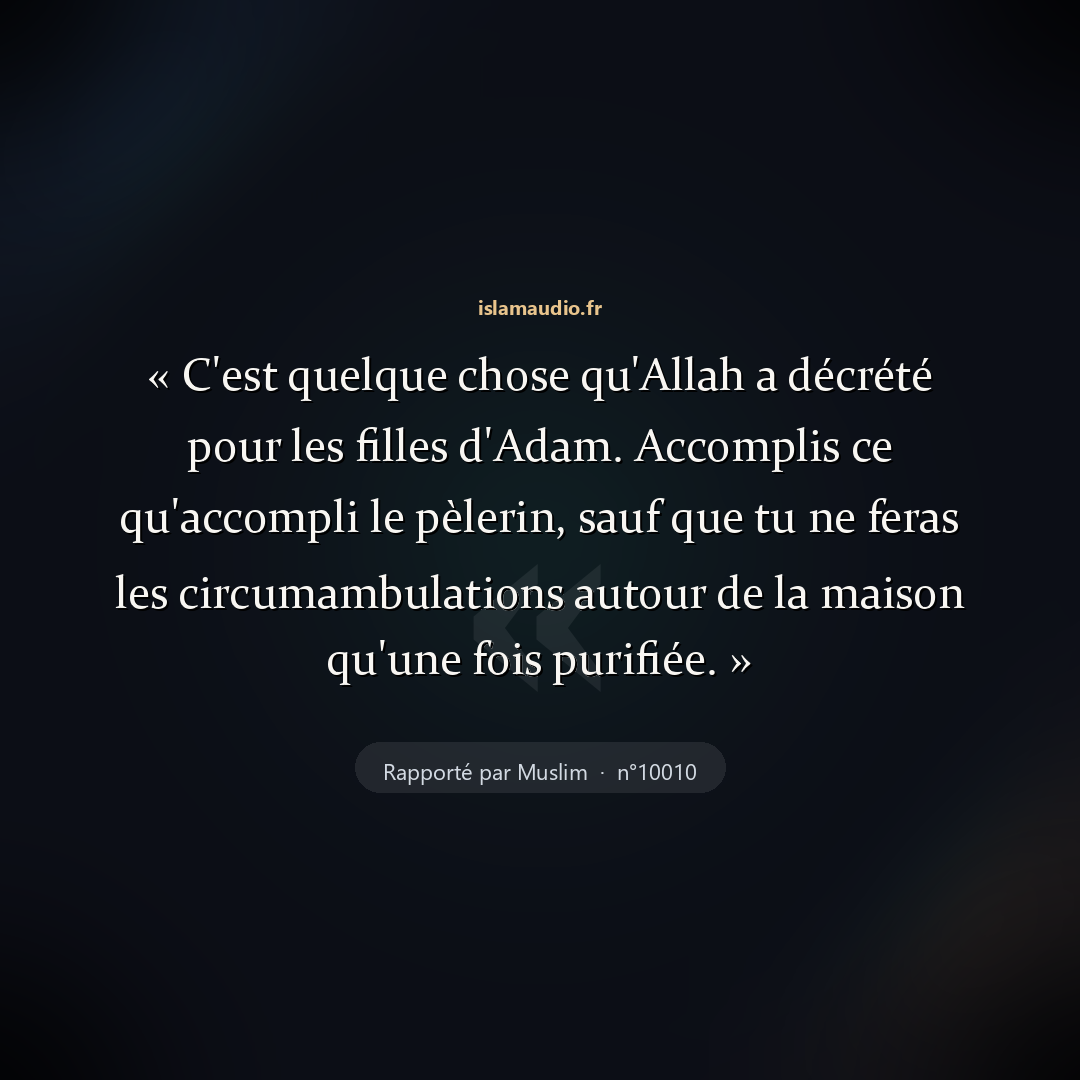 Aperçu du hadith