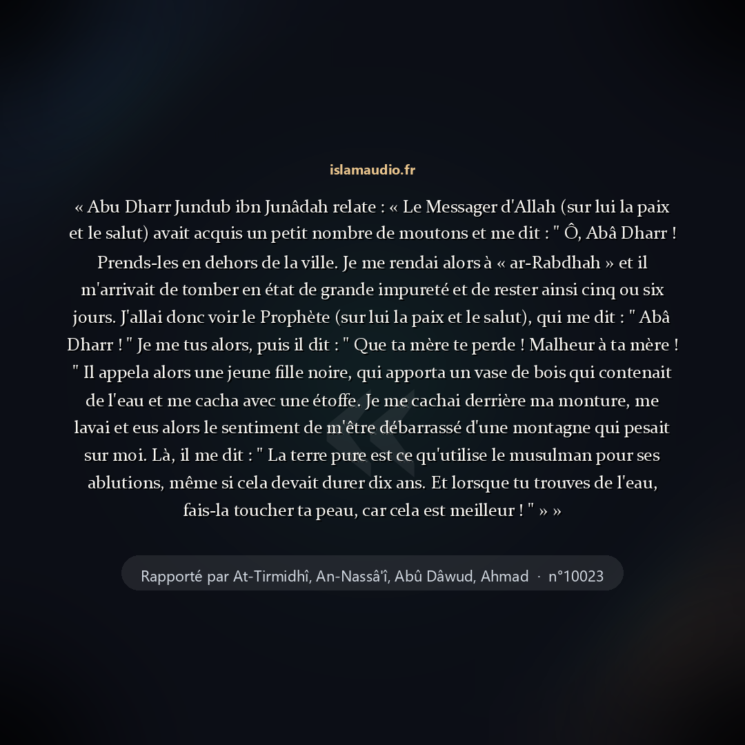 Aperçu du hadith