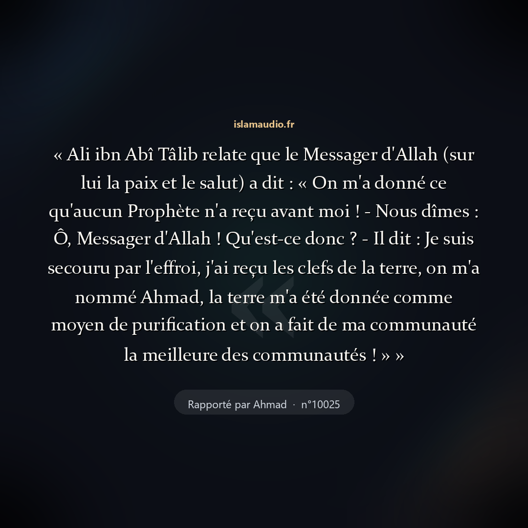 Aperçu du hadith