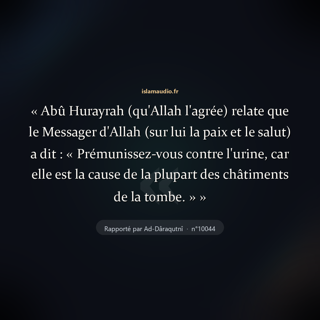 Aperçu du hadith