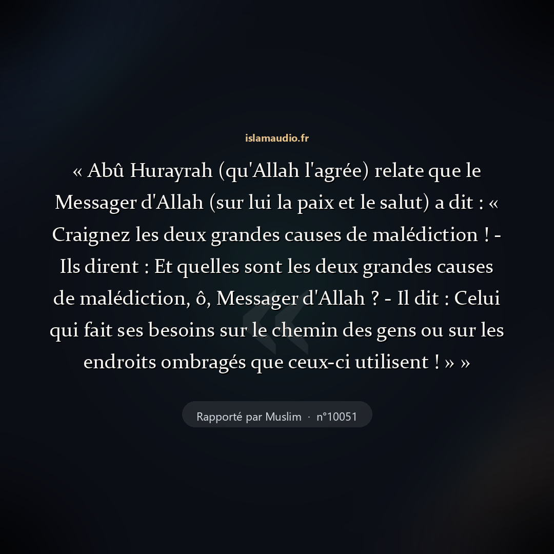 Aperçu du hadith