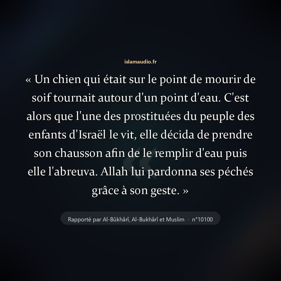 Aperçu du hadith