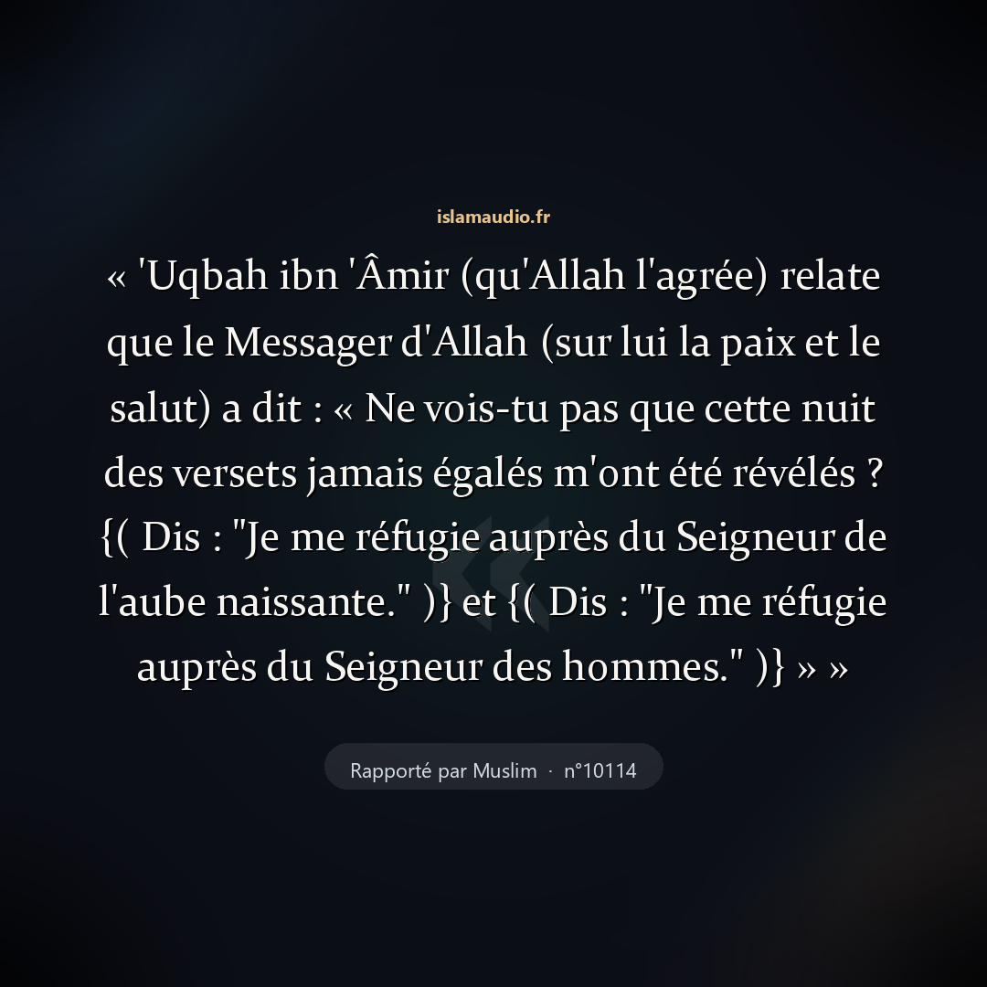 Aperçu du hadith
