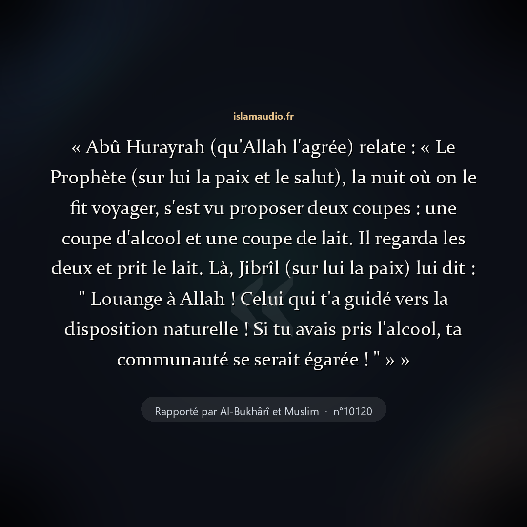 Aperçu du hadith