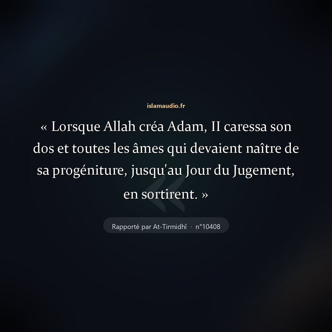 Aperçu du hadith