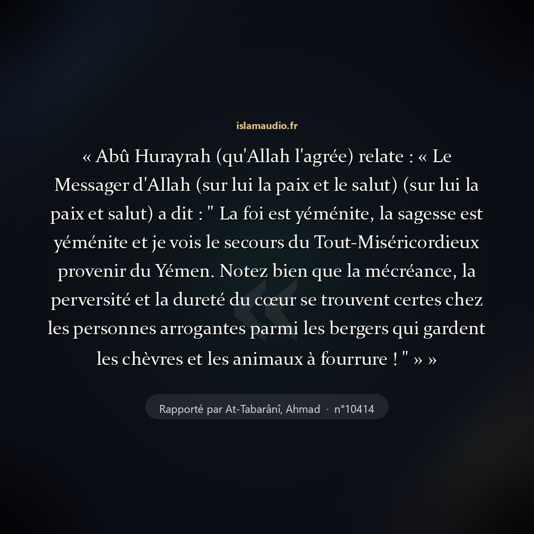 Aperçu du hadith