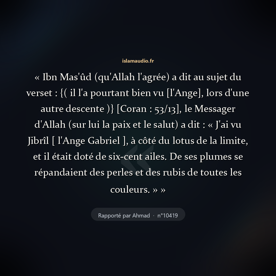 Aperçu du hadith