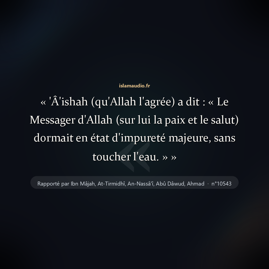 Aperçu du hadith