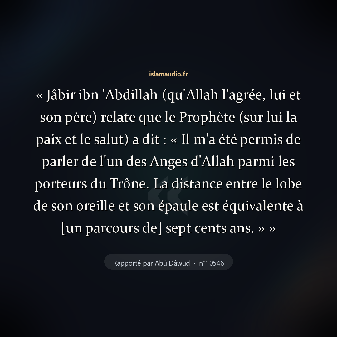 Aperçu du hadith
