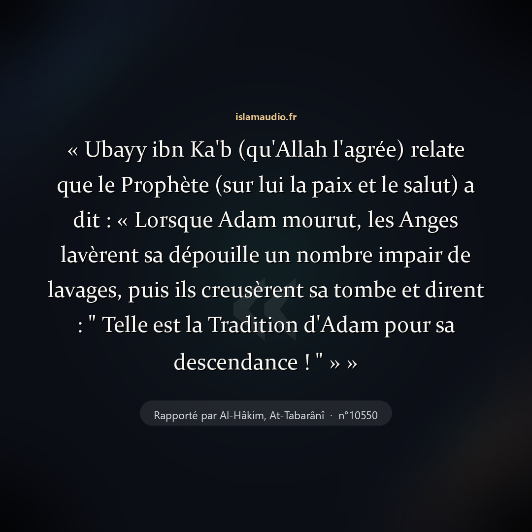 Aperçu du hadith