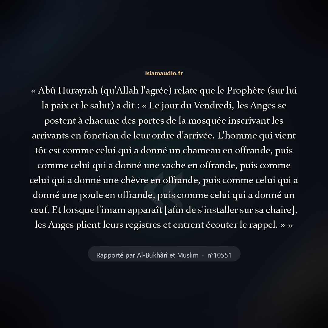 Aperçu du hadith