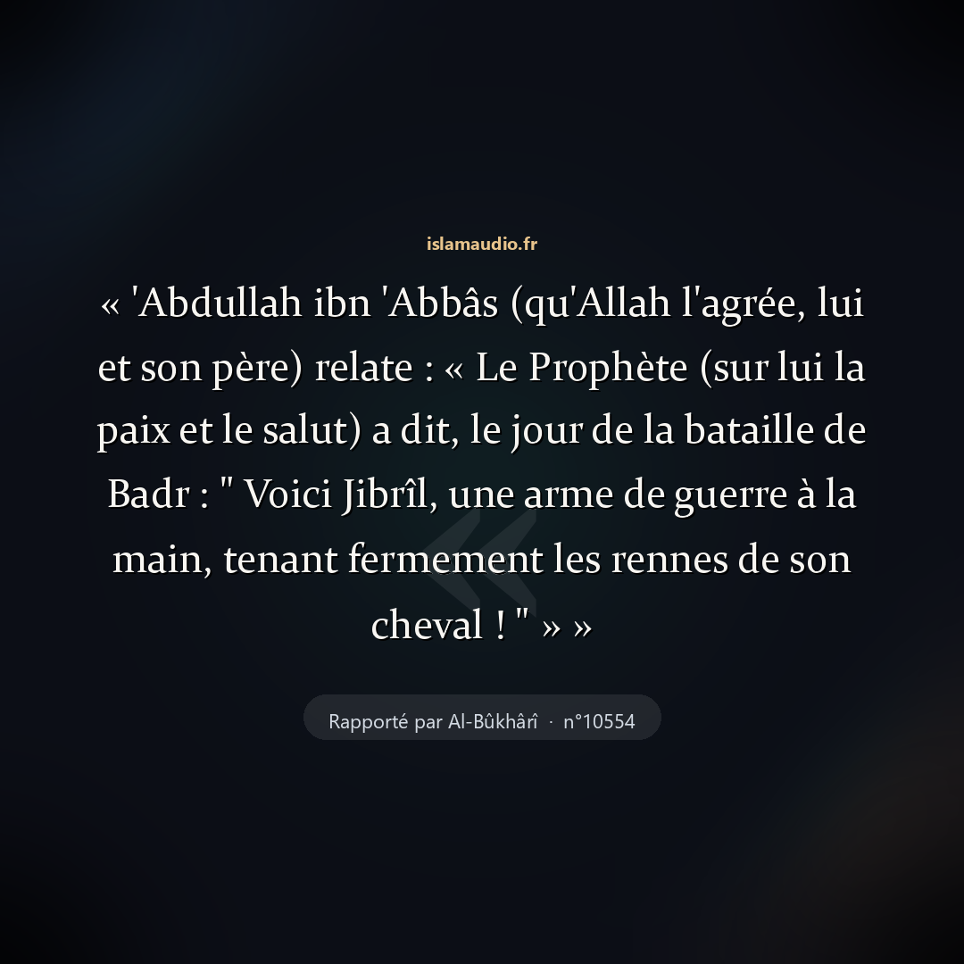 Aperçu du hadith