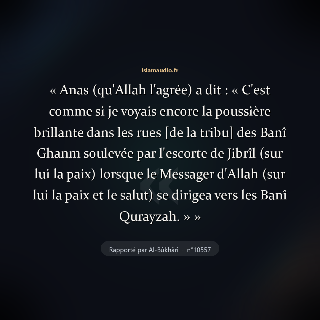 Aperçu du hadith