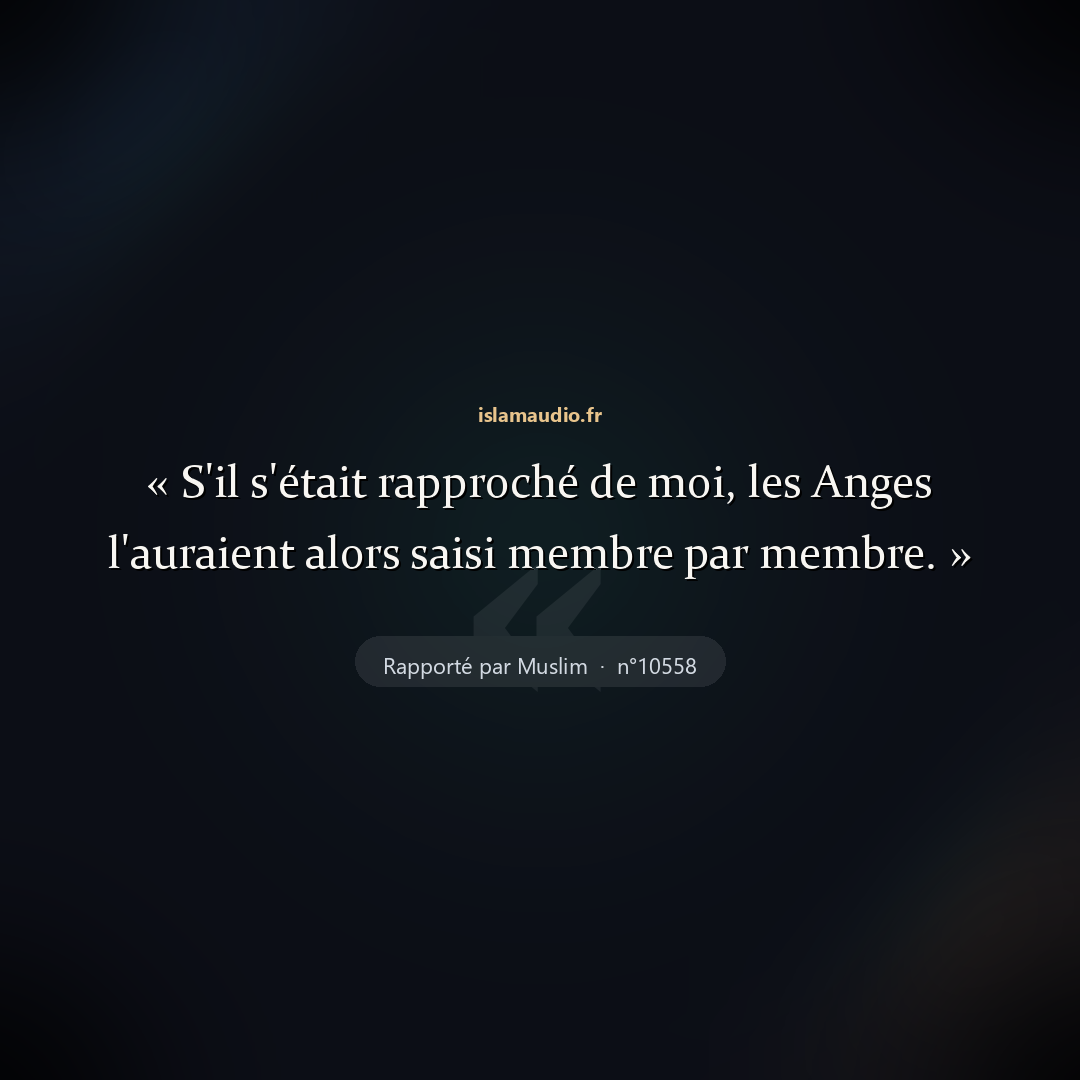 Aperçu du hadith