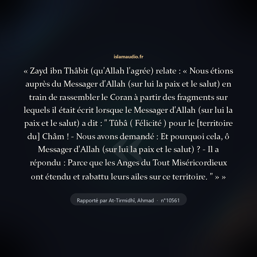 Aperçu du hadith
