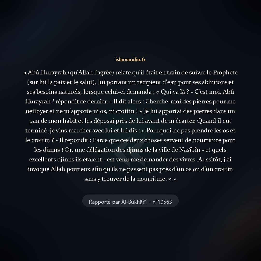 Aperçu du hadith