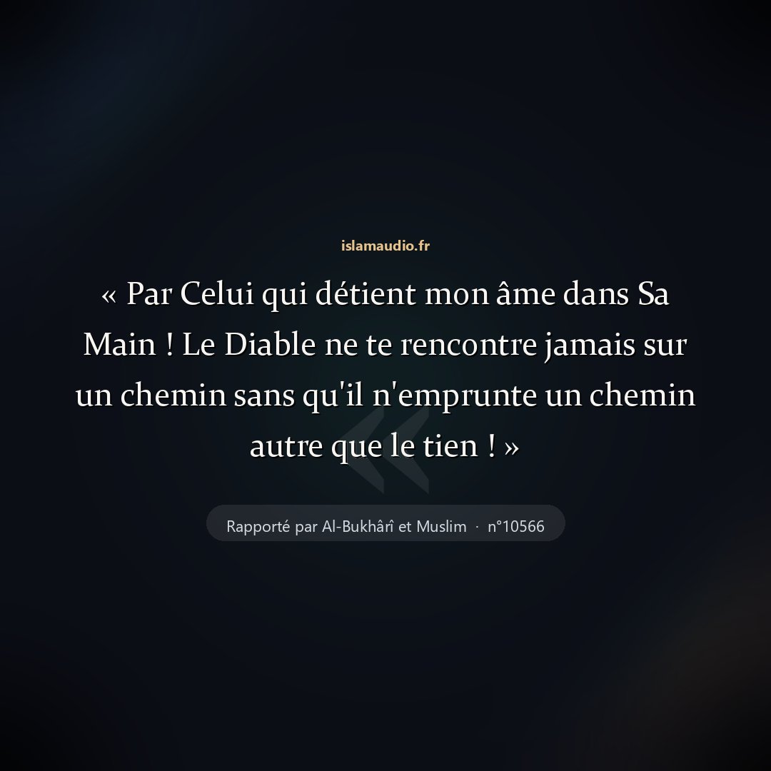 Aperçu du hadith