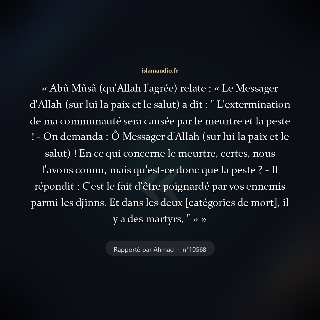 Aperçu du hadith