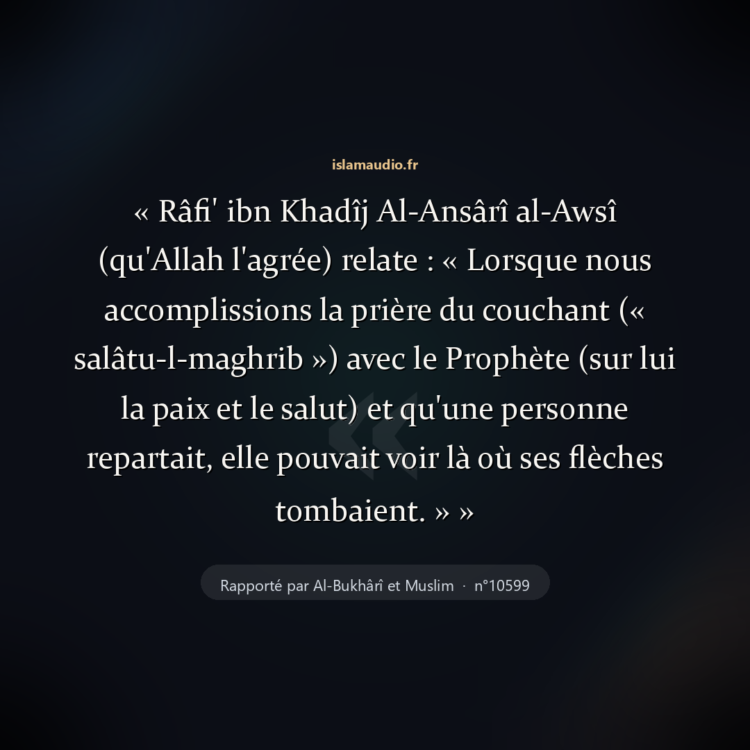 Aperçu du hadith