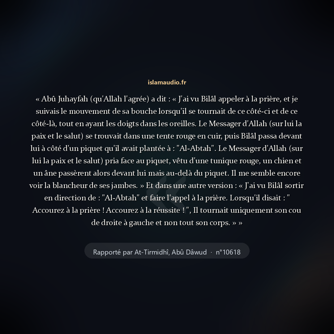 Aperçu du hadith