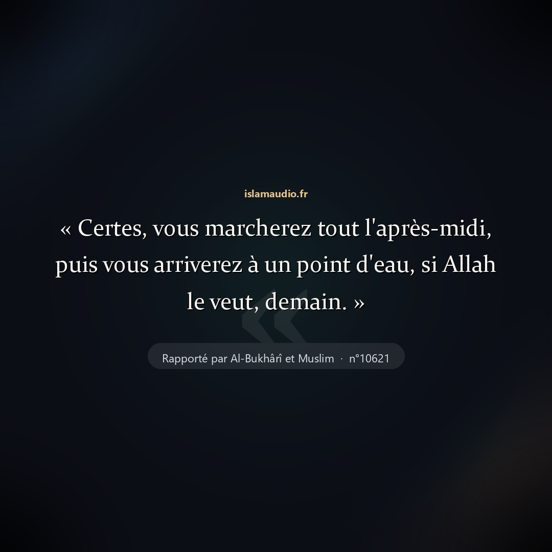 Aperçu du hadith