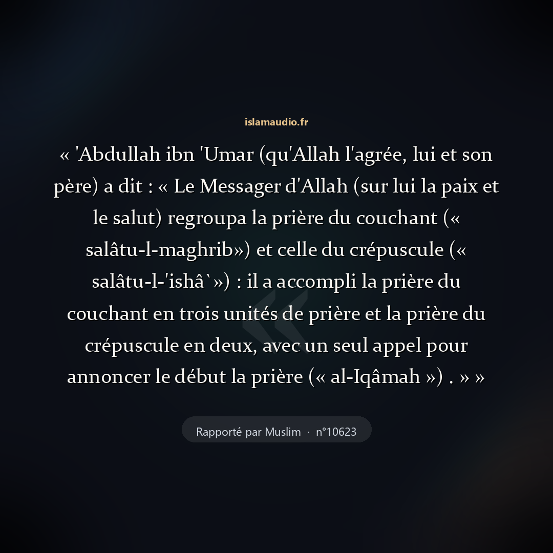Aperçu du hadith