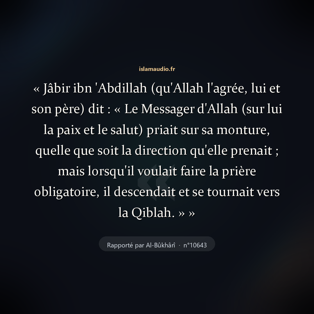 Aperçu du hadith