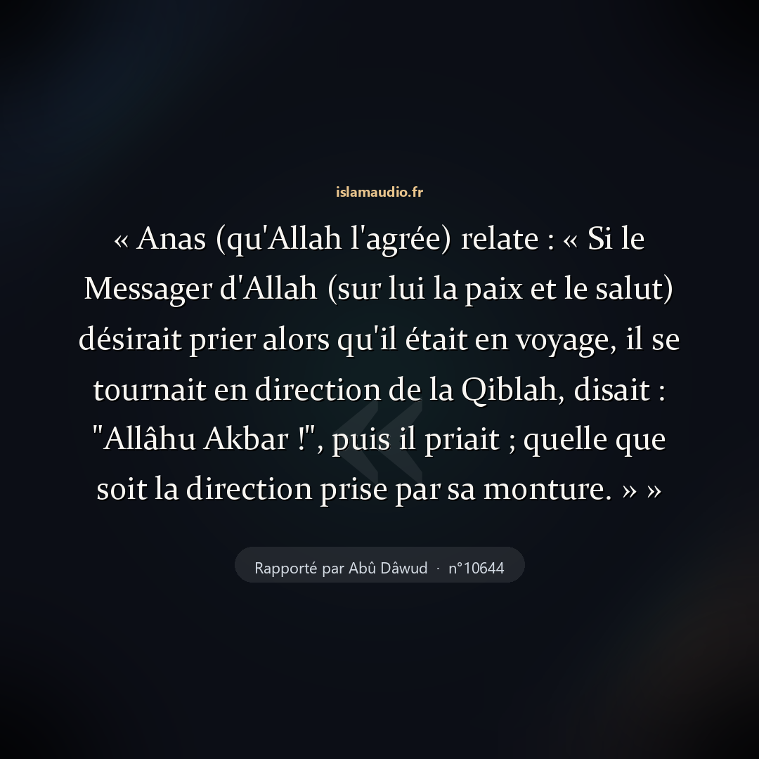 Aperçu du hadith