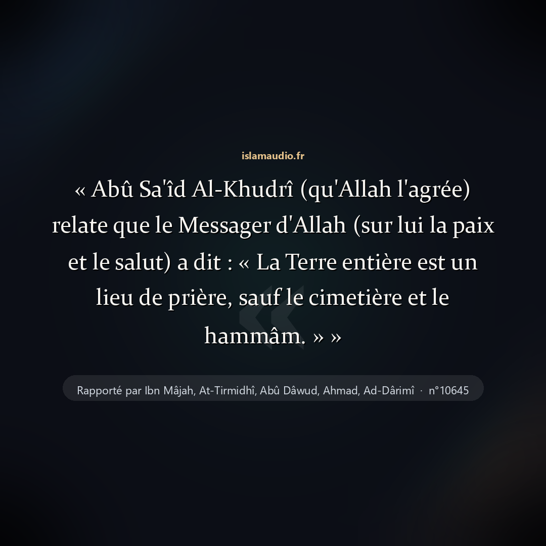 Aperçu du hadith
