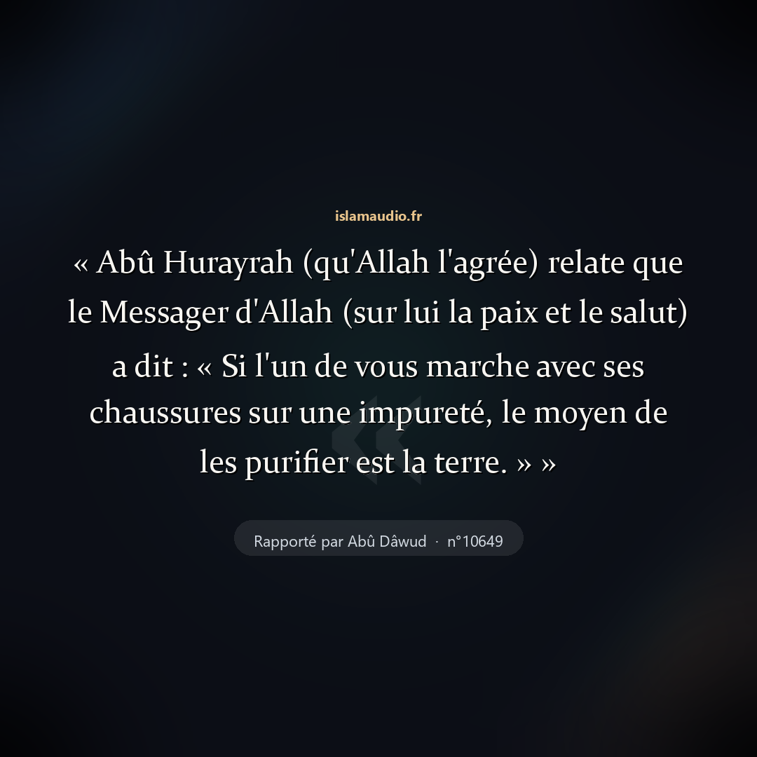 Aperçu du hadith