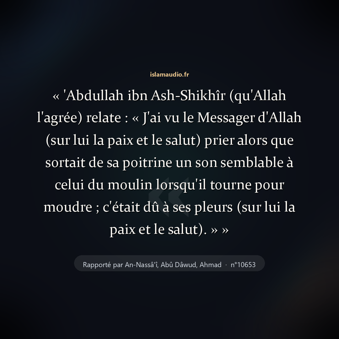 Aperçu du hadith