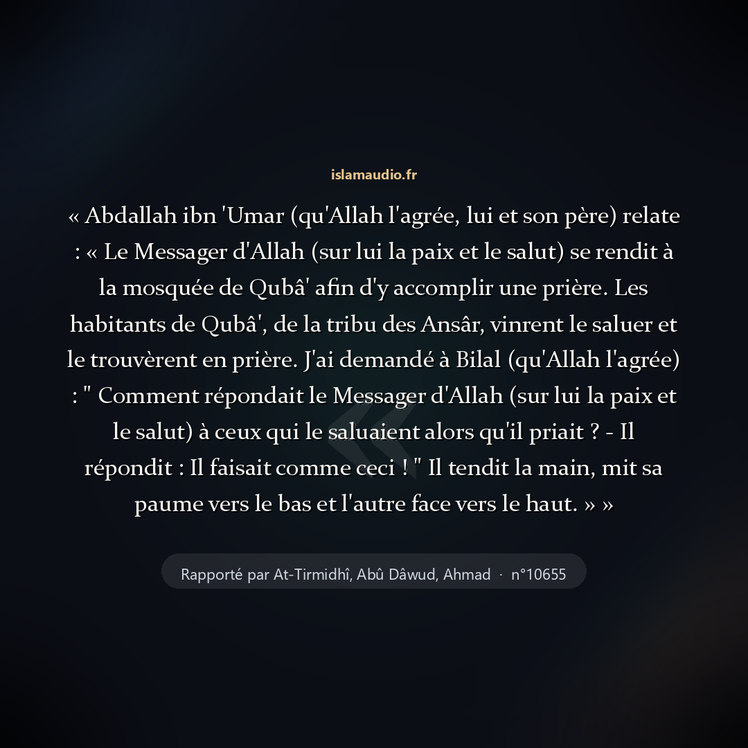 Aperçu du hadith