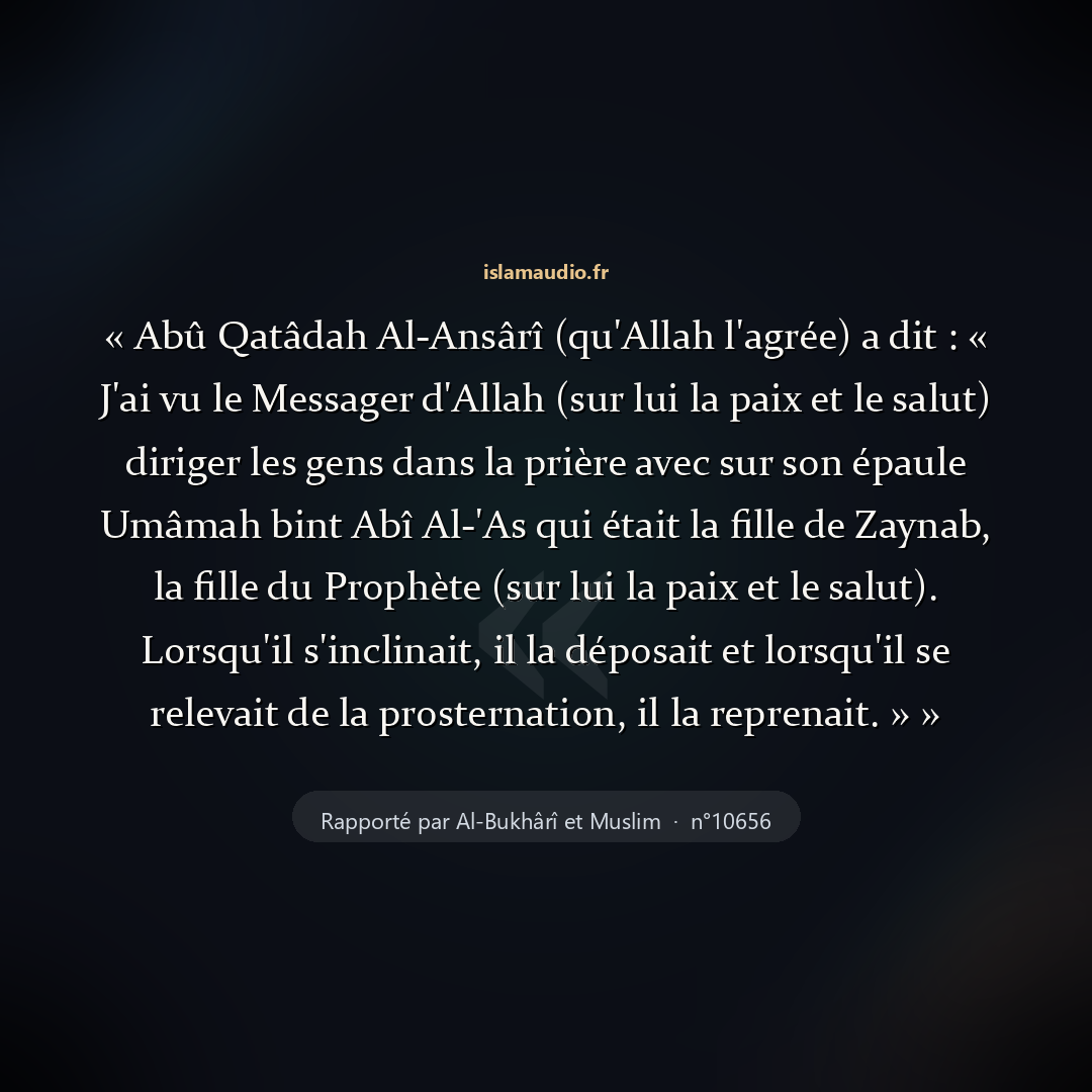 Aperçu du hadith
