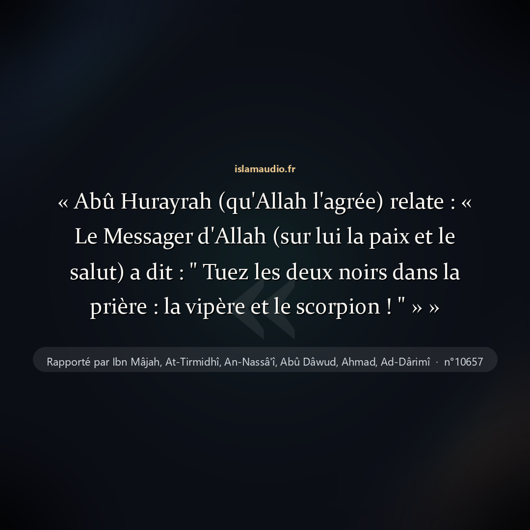 Aperçu du hadith