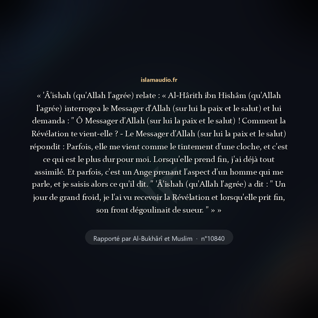 Aperçu du hadith