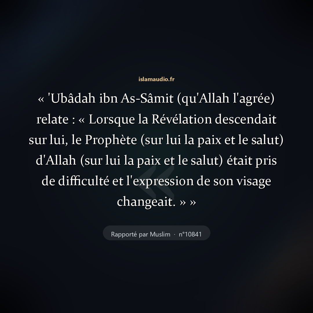 Aperçu du hadith