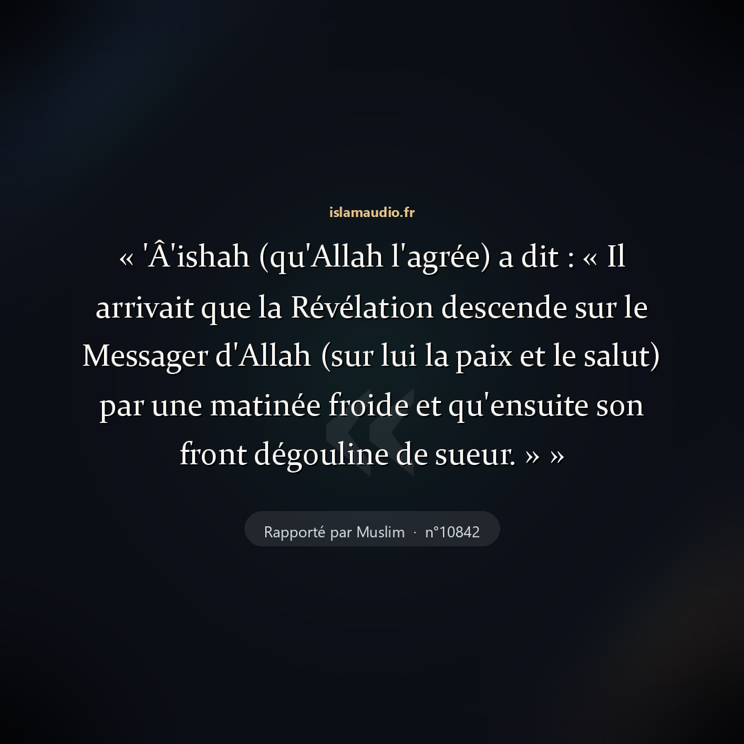 Aperçu du hadith