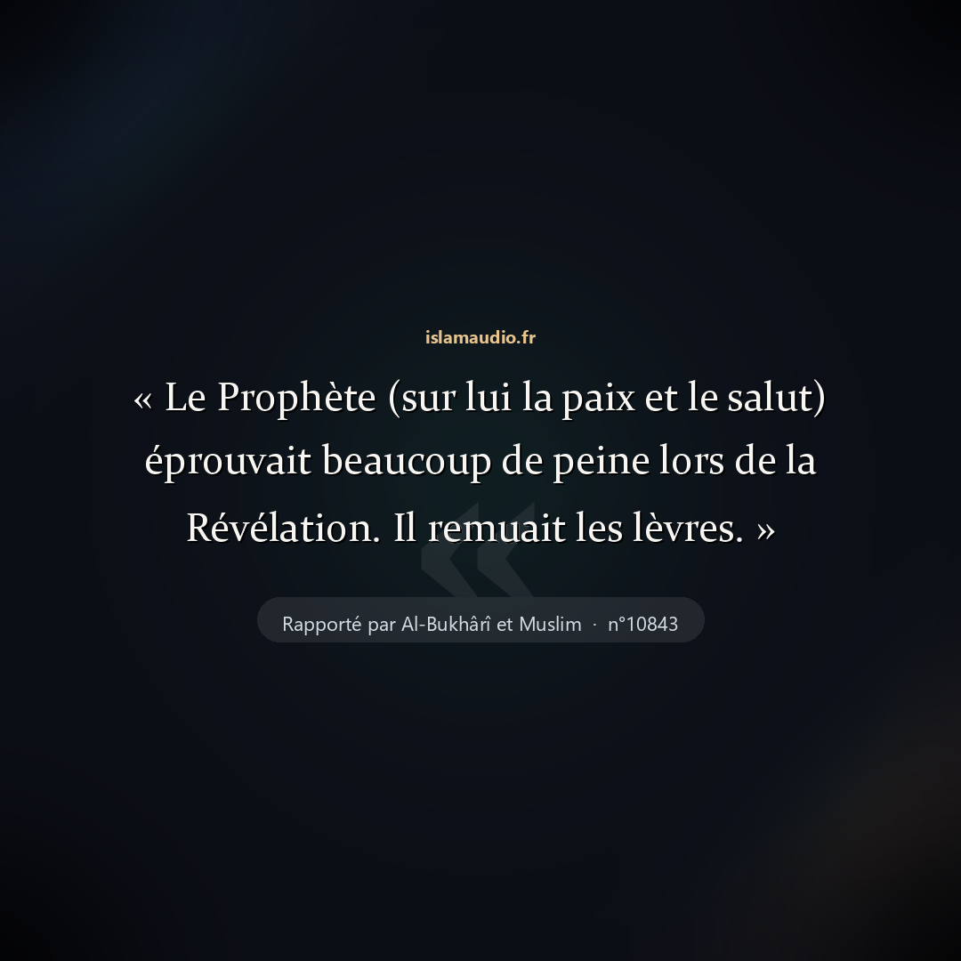 Aperçu du hadith