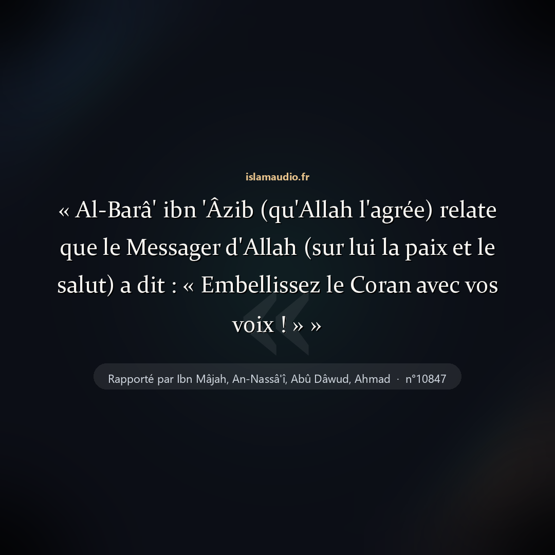 Aperçu du hadith