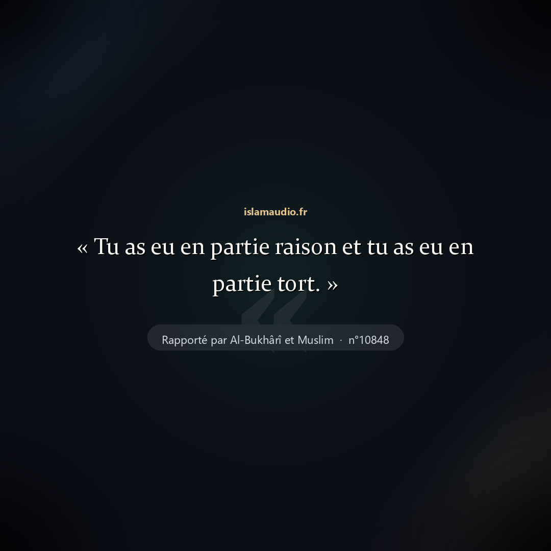 Aperçu du hadith