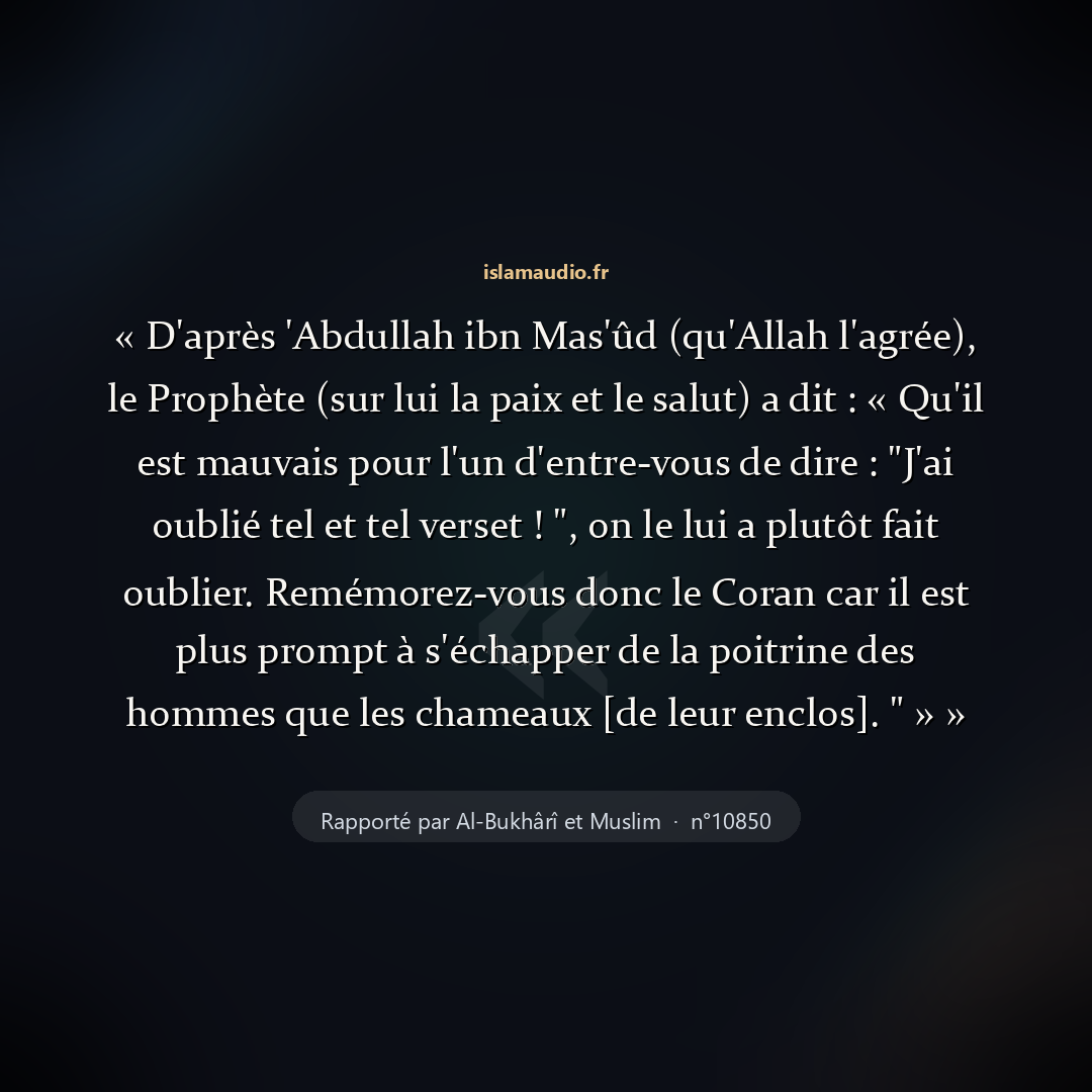 Aperçu du hadith