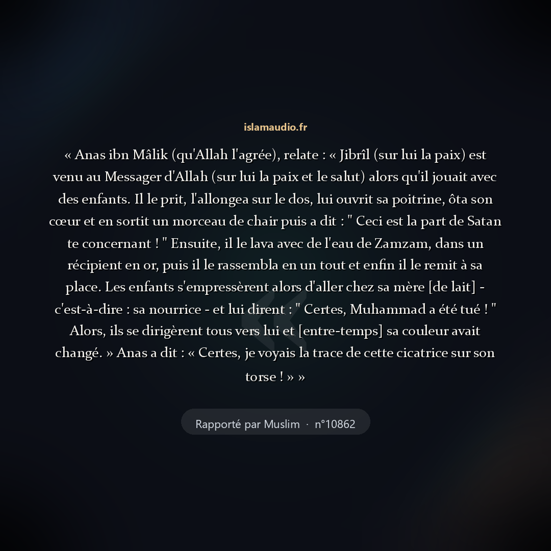 Aperçu du hadith