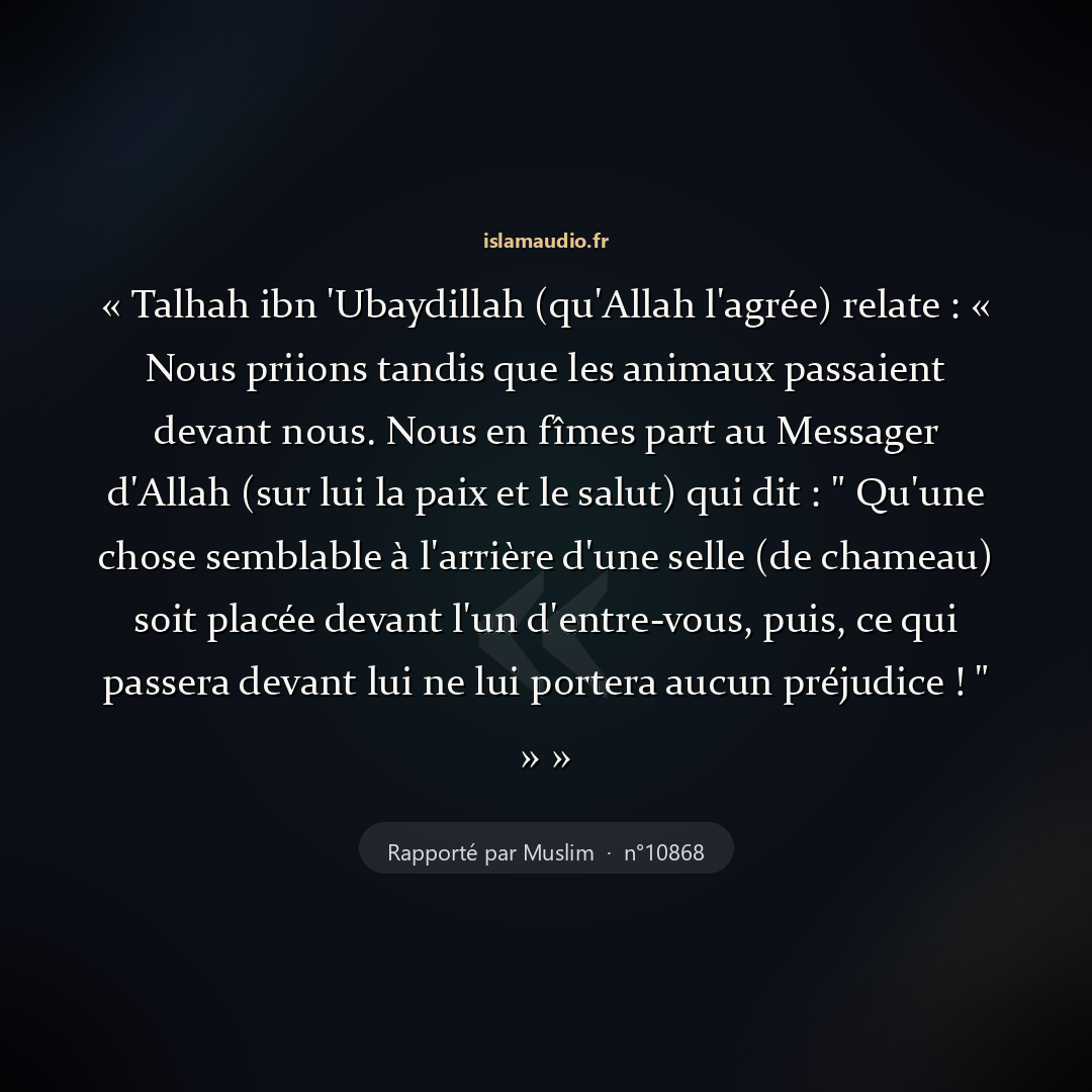 Aperçu du hadith