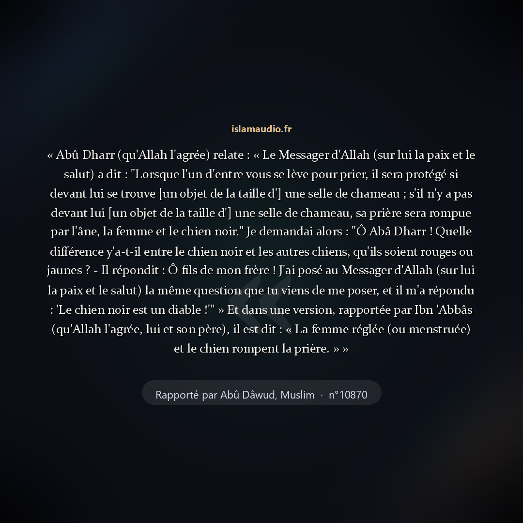 Aperçu du hadith