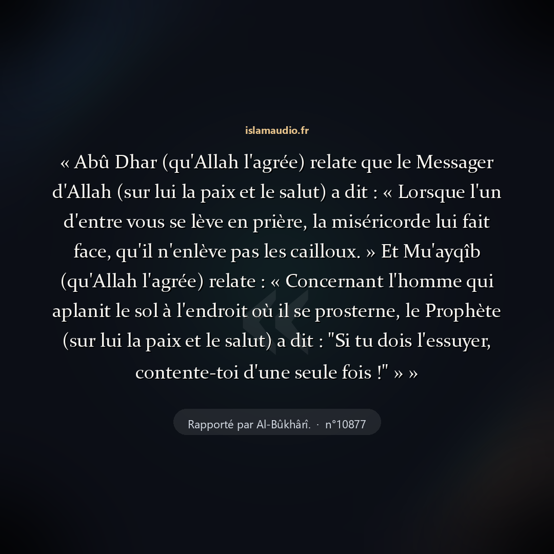 Aperçu du hadith
