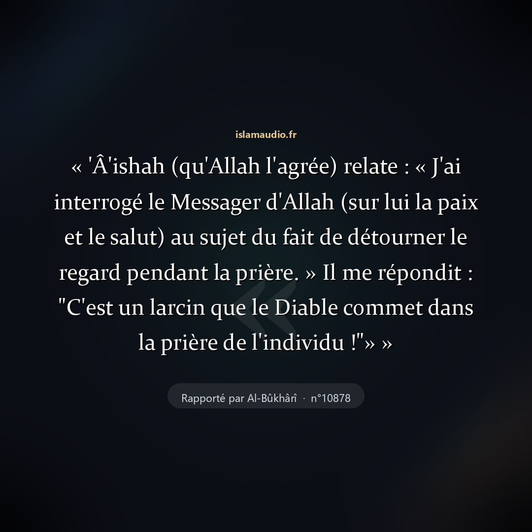 Aperçu du hadith
