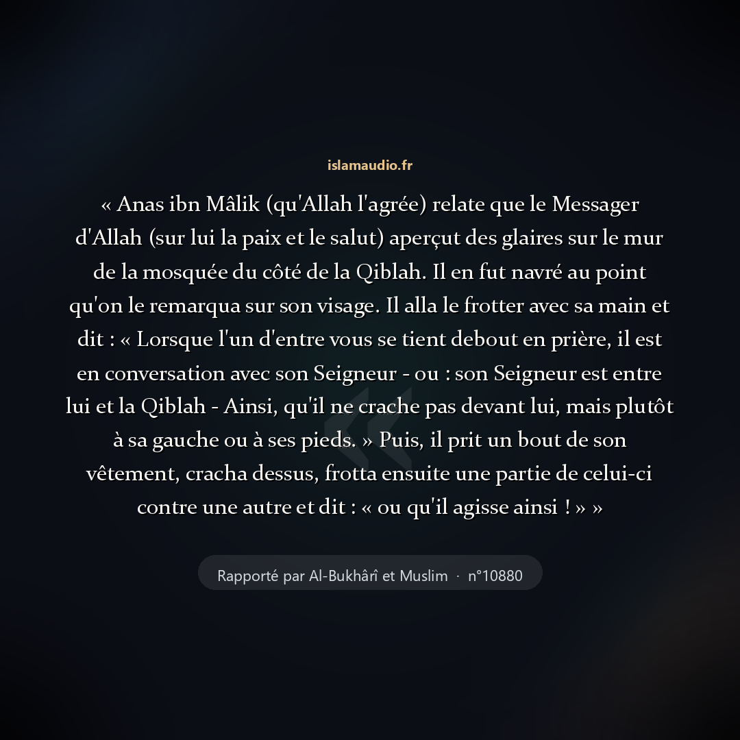 Aperçu du hadith