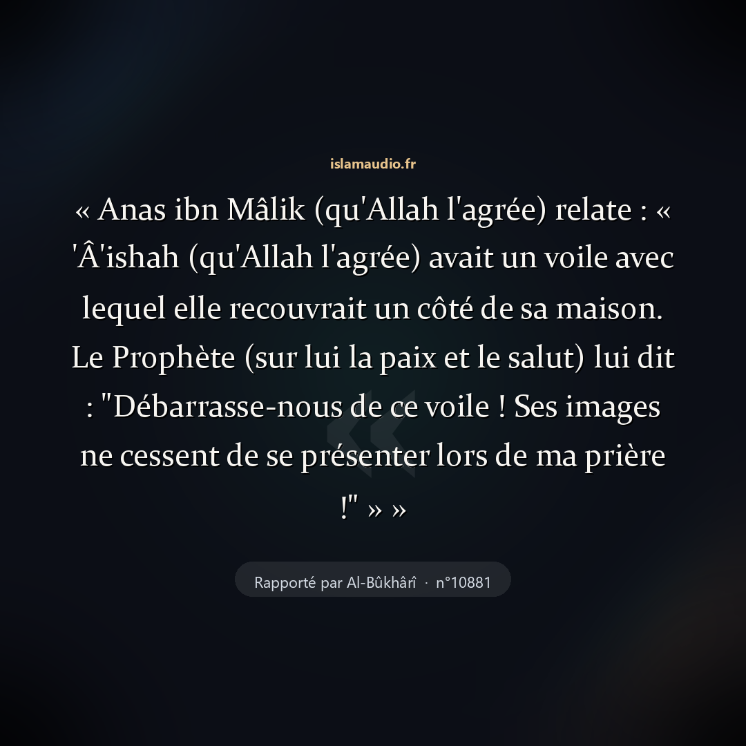 Aperçu du hadith