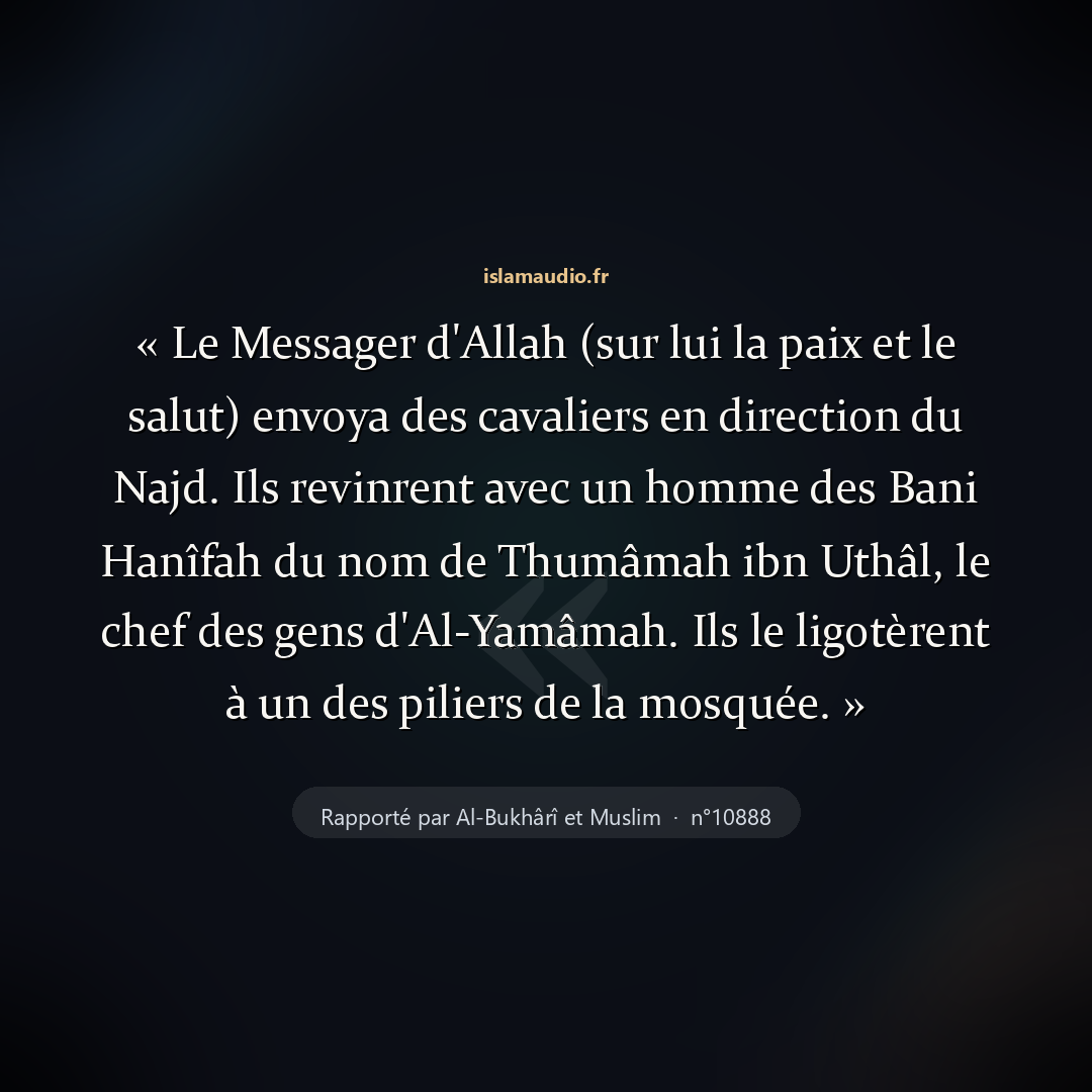 Aperçu du hadith