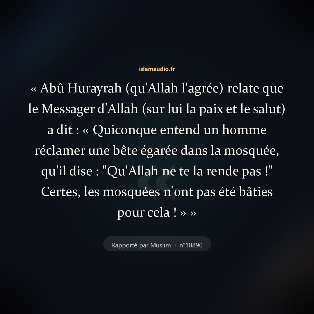 Aperçu du hadith
